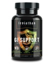 Leviathan Nutrition GI ← Promueve Salud Gut saludable " Bacterias Gut - MicroBiome Bloating Balance Probiotic " Intestinal Lining Health with Zinc-L-Carnosine, Butyrate, " DGL Supplement - 120 Capsules