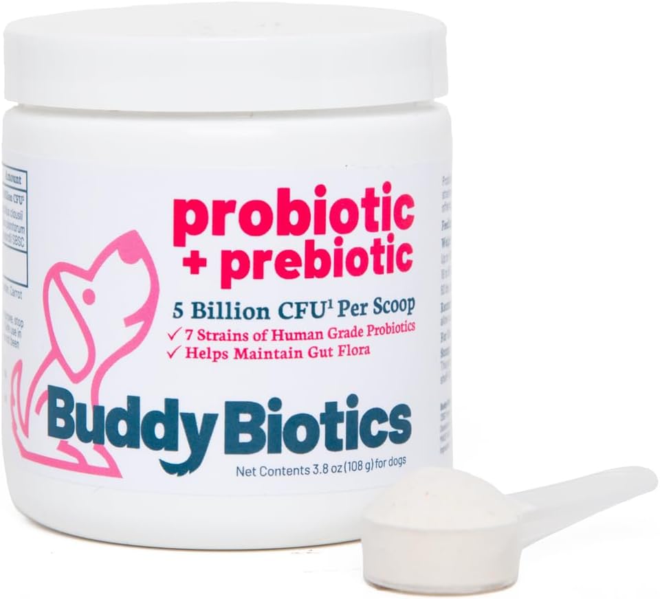 Buddy Biotics Probiótico + Prebiótico para perros- Gut Flora Salud, Salud Digestiva e Inmunitaria, Diarrea y Apoyo Bowel – 5 Billones CFU por Scoop