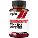 agobi Berberine Suplementos 500mg con Gymnema Sylvestre - Fórmula super concentrada para el sistema inmunológico, Circulación Salud, Digestivo " Producción energética - 90 cápsulas