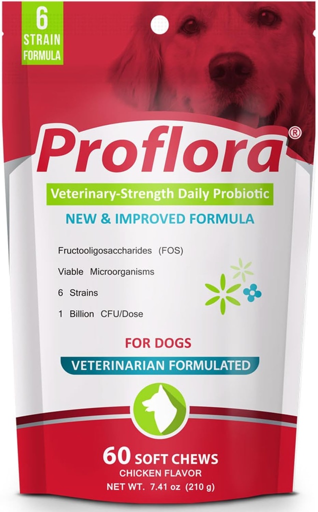 Probióticos para perros-completo Gut Health & Immune Support. Fácil de usar Probióticos Digestivos Multi-Strain. Transiciones de dieta más fácil, piel más saludable " ayuda a tratar la diarrea. 60 Chews suaves