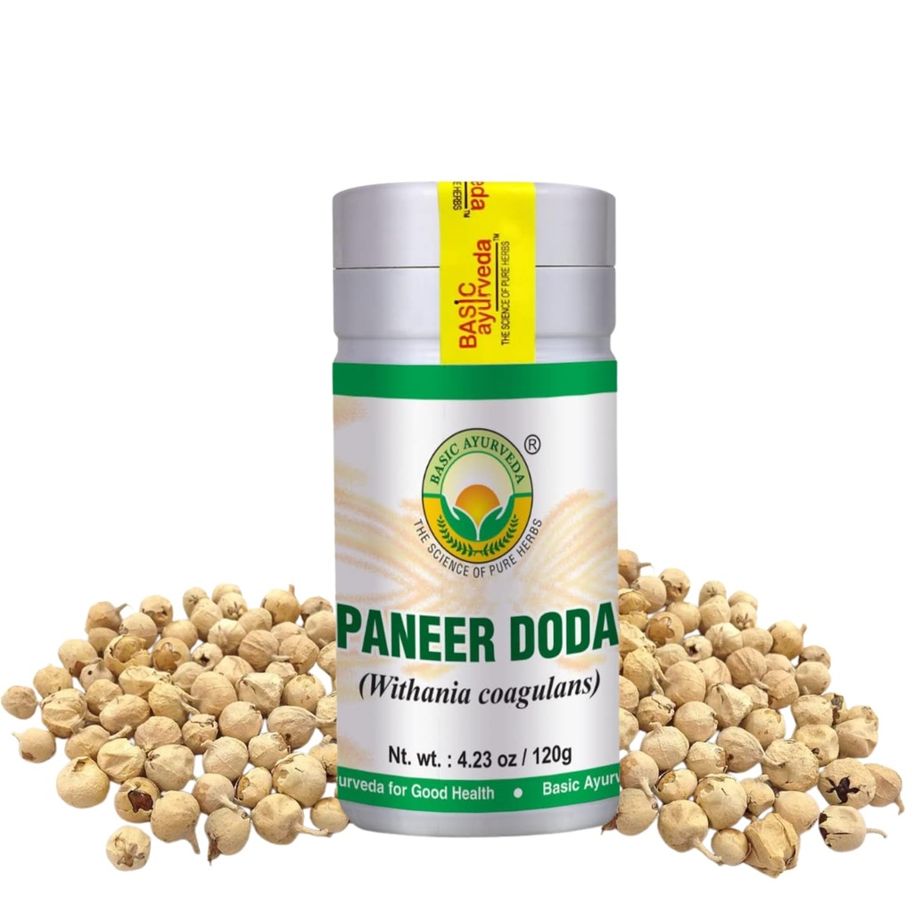 BASIC AYURVEDA Paneer Doda Powder (Conania Coagulans) – 4.23 Oz (120g) ← Dried Herbal Suplemento para el uso tradicional ← Herb entera natural para el bienestar " Routine diario Vegan, Non-GMO