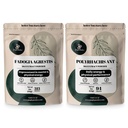 Polvos de jungla Fadogia Agrestis Polvo para hombres 50:1 313 Servimientos, Anto Negro Extracto 30:1 94 Sirve 5oz, Hombres Tradicionales Salud Apoyo para la Conducción & Pasión
