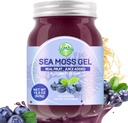 Sea Moss Gel, 18.5OZ Raw Flavored Irish Seamoss Gel Immune y Digestive Support Vitamin Mineral Supplements, Blueberry