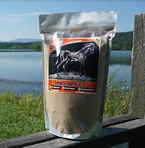 Immune Key - 1.25 lb. - Todo Natural, Libre de GMO, Construye Sistema Immune Fuerte