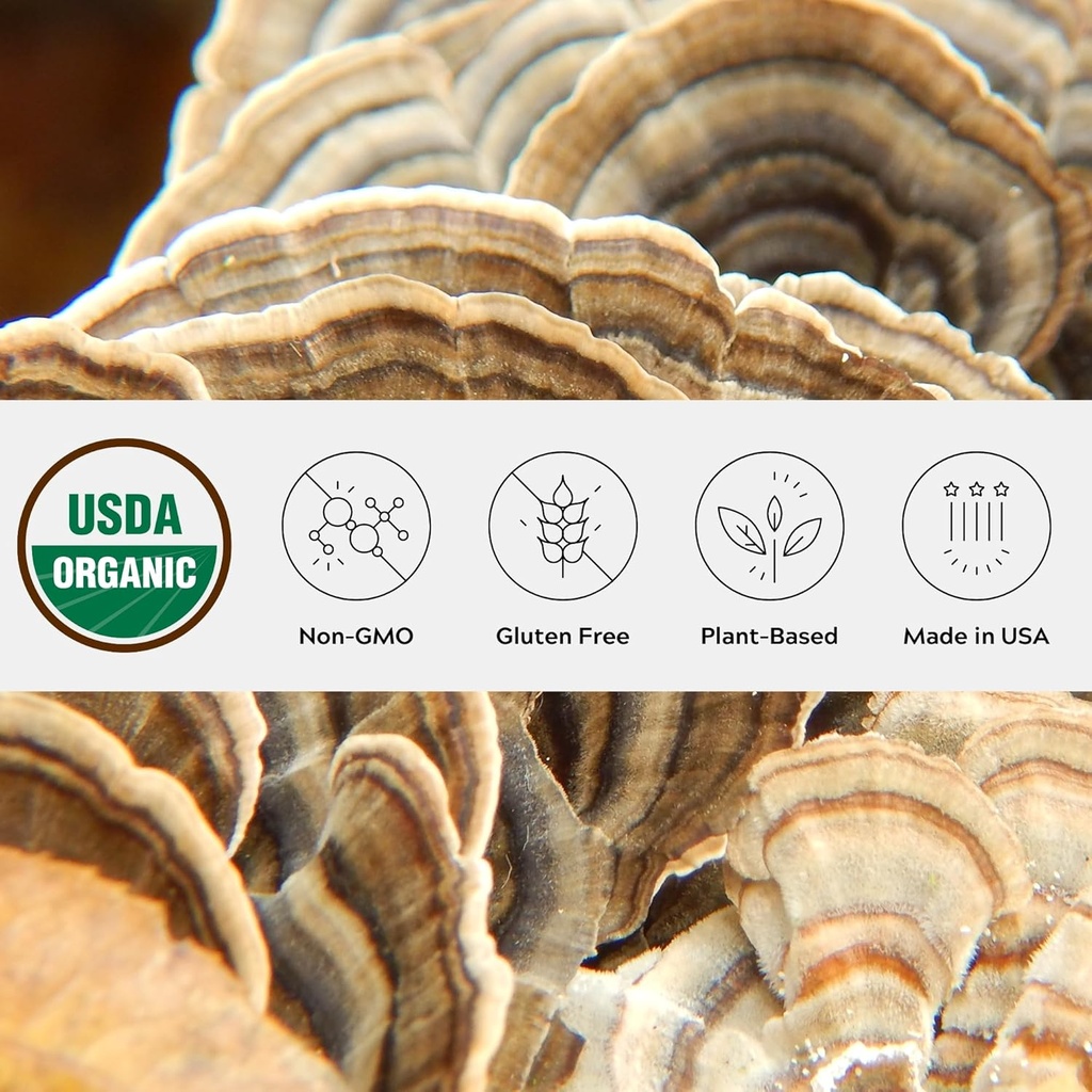Orgánica Turquía Tail Mushroom Powder, Single Estate, Non-GMO - Gut, Energy, Brain, &amp; Immune Support - Vegan Mushroom Supplement in a Resealable Glass Jar
