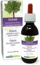 Naturalma Rhubarb (Rheum palmatum o Rheum officinale) Root and Rhizome Alcohol-Free Tintura - 4 fl oz Liquid Extract in Drops - Herbal Supplement - Vegan