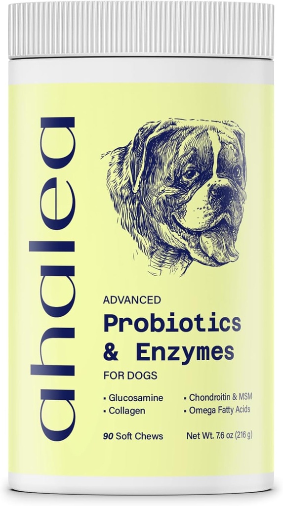 Probióticos para perros- Probióticos Perros para la Salud Digestiva, Apoyo Salud Gut, Diarrea, Salud Digestiva " Alergias Estacionales, 90 Conde 2 Billones CFUs