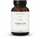 Turquía Tail Mushroom Suplemento. Dual Extract, Pure Fruiting Body, 30% Polysaccharides, 500 mg, 120 vegecaps (60-Day Supply). Puede soportar la función sana de inmuno