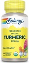 SOLARAY Fermented Turmeric Root 500mg tención 100 VegCaps