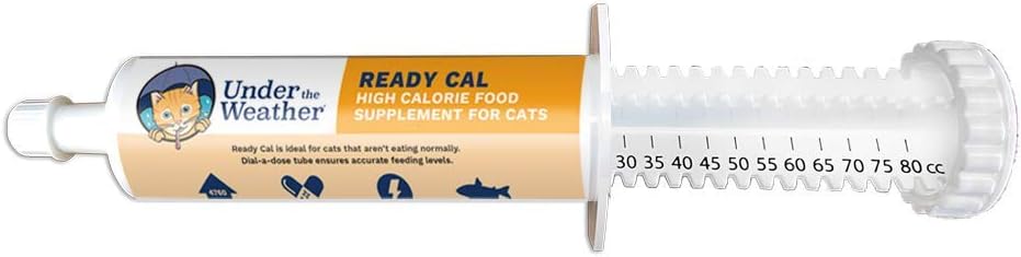 Bajo el Tiempo Pet Silencio Listo Cal para Gatos 80cc Silencio High Calorie Suplemento Nutricional para Ganancia de Peso &amp; No Comer Silenciosos 10 Vitaminas, 7 Minerales, Omega Fatty Acids