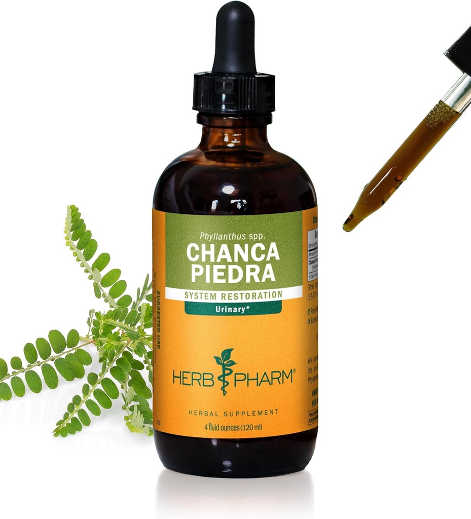 Herb Pharm Chanca Piedra Liquid Extract for Urinary System Support - 4 Ounce