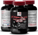 Fórmula de apoyo a la resistencia - TRIBULUS TERRESTRIS EXTRACT - Recarga de energía, soporte de energía Blend, fuerza física, energía potenciada por plantas, Fórmula de apoyo corporal, fuerza y potencia, fuerza activa 1Bot 90Tab