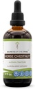 Secretos del Tribe Caballo Chestnut Alcohol Extracto líquido, Castaña de Caballo (Aesculus hippocastanum) Suplemento de Tintura de Nuez Seca (4 FL OZ)