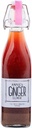 Ginger Elixir de Annie, 17oz 1-Pack, Pure Natural Organic Tonic Ginger Shot, Digestive Cleanse Boosts Immune Defense, Daily Gut Health and Wellness, Non-GMO Beverage
