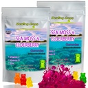 Irlandés Moss Gummies – Raw Organic Wildcrafted Sun-Dried Seamoss Powder Gel - con Fledderwrack Burdock Root – Alkaline Keto Vegan Non-GMO – Skin Detox (Elderberry)