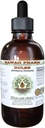 Dulse Alcohol-Free Liquid Extract, Dulse (Palmaria Palmata) Leaf seco Glycerite Hawaii Pharm Natural Herbal Suplemento 2 oz
