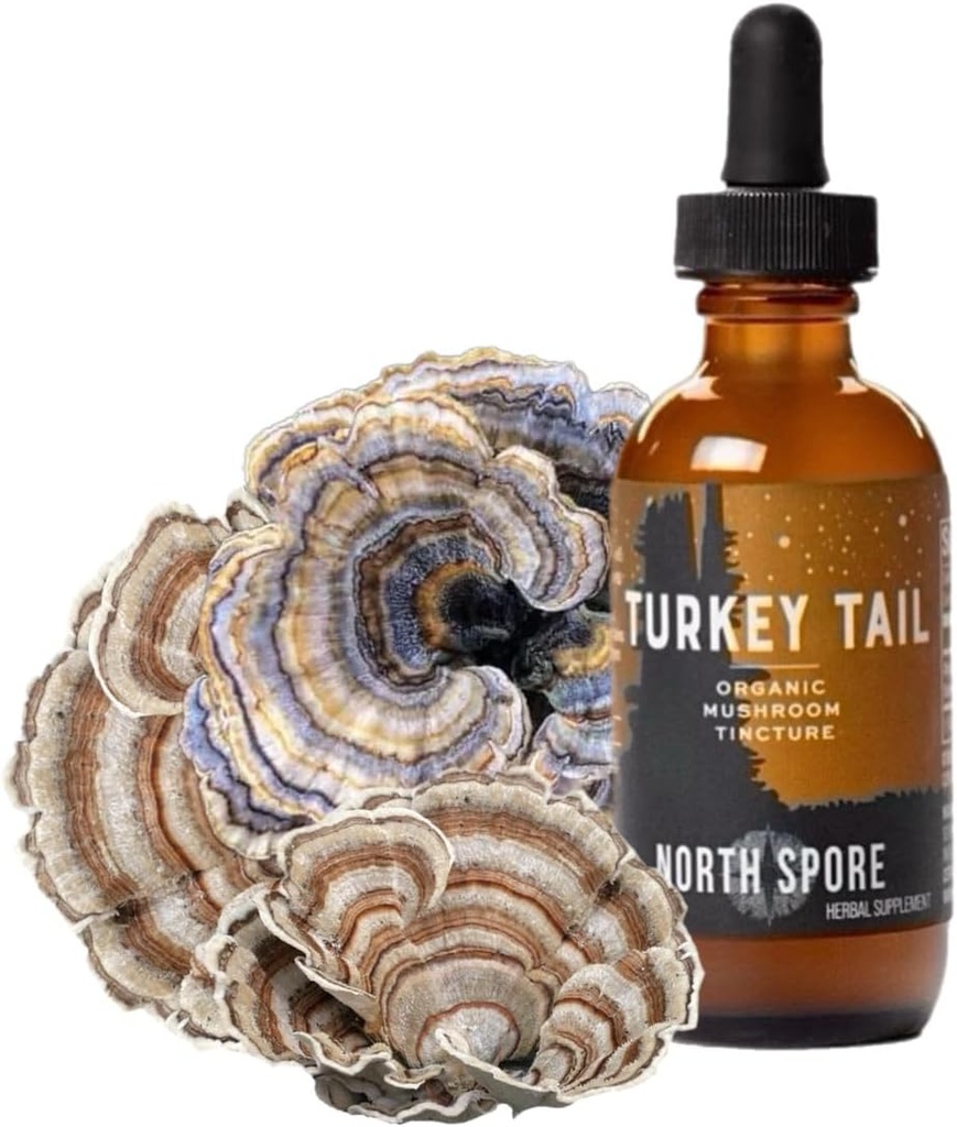 North Spore Organic Turkey Tail Tincture Silencioso Mushroom Suplemento para Immune Wellness Silencio Sustentably Grown " Confirmado para Potency ¦ Trametes Versicolor Extract ← Vegan, Non-GMO - 2oz