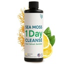 Atlantic Naturals - 1 día Colon Cleanse Full Body Detox Drink - Sea Moss Supplement for Women &amp; Men, Gut Health, Kidney &amp; Liver Immune Energy Enhancer Gut Cleanse - Lemon Flavor Juice, 8 fl oz
