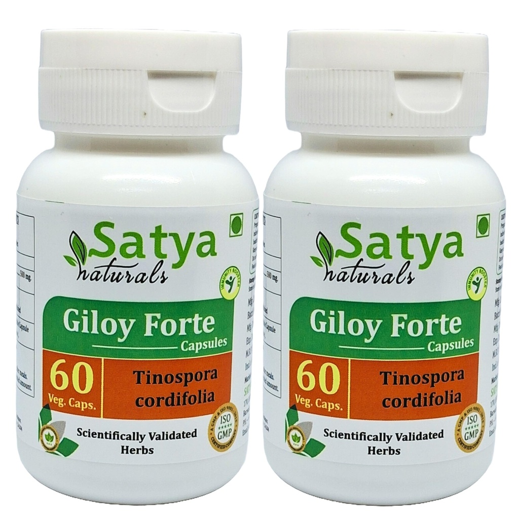 Giloy Forte Capsules 500 mg. 60 Veg. Capsule peru Guduchi (Tinospora Cordifolia) Extract Capsules for Men and women ← Indian Ayurvedic Herbal Supplement/Remedies (2 Botellas de 60 cápsulas)