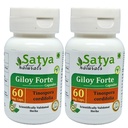 Giloy Forte Capsules 500 mg. 60 Veg. Capsule peru Guduchi (Tinospora Cordifolia) Extract Capsules for Men and women ← Indian Ayurvedic Herbal Supplement/Remedies (2 Botellas de 60 cápsulas)