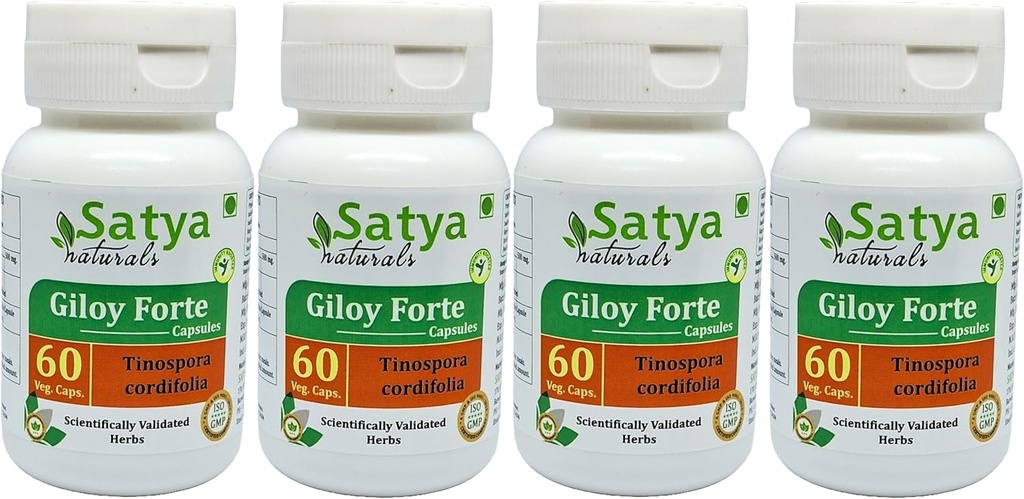 Giloy Forte Capsules 500 mg. 60 Veg. Capsule | Guduchi (Tinospora Cordifolia) Extract Capsules for Men and women | Indian Ayurvedic Herbal Supplement/Remedies (4 Bottles of 60 Capsules)