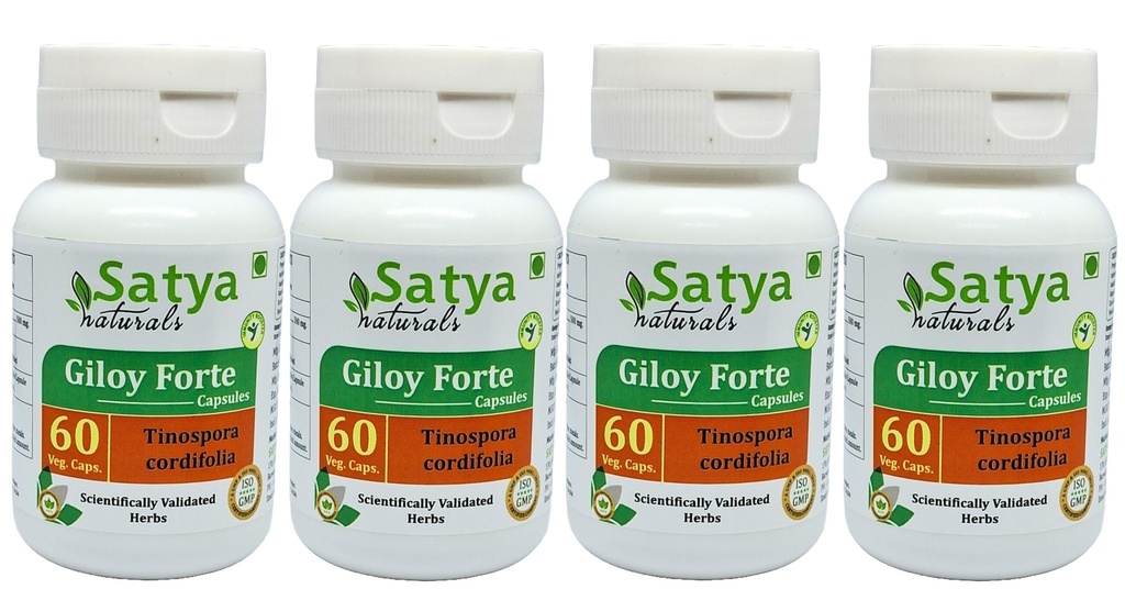 Giloy Forte Capsules 500 mg. 60 Veg. Capsule peru Guduchi (Tinospora Cordifolia) Extract Capsules for Men and women ← Indian Ayurvedic Herbal Supplement/Remedies (4 Botellas de 60 cápsulas)