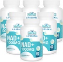 Liposomal NAD+ Suplemento 1000 mg TENIDO Pontecy más alto NAD TEN Max Absorption  Suplemento puro NAD Energía y Reparación de ADN, Defensa del envejecimiento, Función cerebral