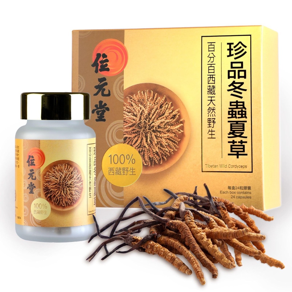 100% Wild Tibetan Cordyceps Capsules – Ground from Raw Cordyceps, Energy, Lung & Immune Support, 24 Capsules