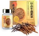 100% Wild Tibetan Cordyceps Capsules – Terreno de Raw Cordyceps, Energía, Lung &amp; Immune Support, 24 Capsules