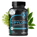 Zenmen H. Pylori Support | Lactobacillus Reuteri Probiotic with Mastic Gum for Digestion & GI Health - Third Party Tested, 60 Vegan Capsules, Made in The USA