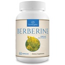 Suplemento de bereberina Premium Sunergetic - 1200mg Por Serving - Suplemento de bereberina HCL No GMO - Soporte Inmuno- 60 cápsulas