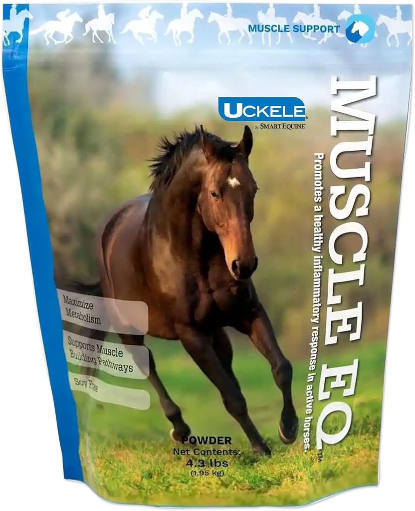 Muscle EQTM Powder ← Muscle Supplement with L-Carnitine for Horses TEN Amino Acid Beta-Alanine for Optimal Muscle Function & Supports Recovery ← 4.3 lb Bag