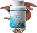 MushroomScience Reishi Mushroom Capsules, Super Strength Full Spectrum Extract, Natural Mushroom Supplement for Adults, Hot Water Extracted Mushrooms, Health Support, Vegetarian, 400MG, 90 CT