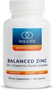 Equilife Balanced Zinc, 15 mg Zinc & Co-Factor Complex Suplemento con Vitamina C &amp; Vitamina B6 para soporte diario de inmunidad y bienestar, Gluten Free, Vegan, Non GMO, 60 cápsulas