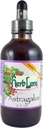 Herb Lore Astragalus Tincture – Liquid Astragalus Extract Drops - Immune System Support – 4 Fl Oz