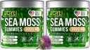JOYLI Nutrition 2 Pack - Sea Moss Gummies for Adults &amp; Kids – Vegan Irish Sea Moss Supplement with Bladderwrack & Burdock Root – Sugar-Free Immune Support Supplements - 60 Gummy Bears per Pack