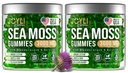 JOYLI Nutrition 2 Pack - Sea Moss Gummies for Adults &amp; Kids – Vegan Irish Sea Moss Supplement with Bladderwrack & Burdock Root – Sugar-Free Immune Support Supplements - 60 Gummy Bears per Pack