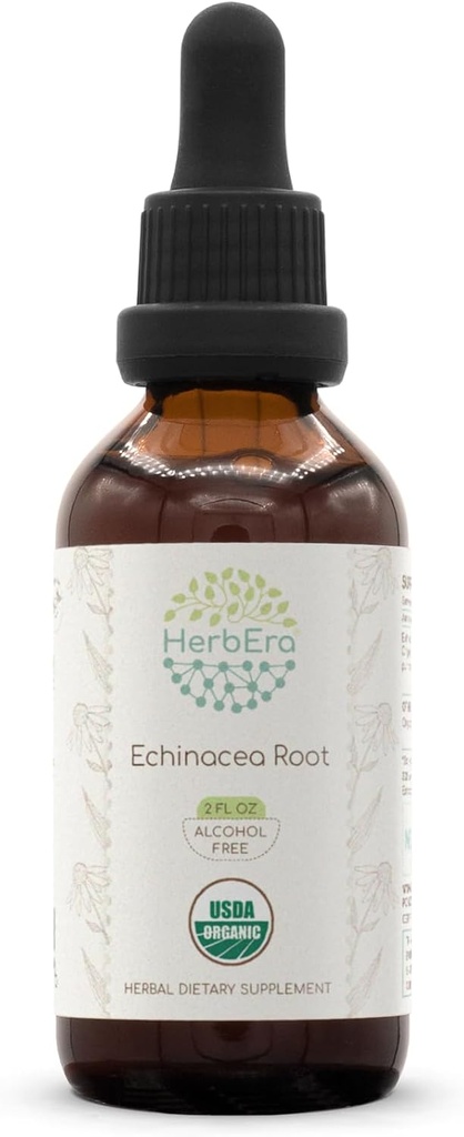 HerbEra Echinacea Root B60 USDA Organic Tincture ← Extracto libre de alcohol, gotas herbales de alta potencia, sistema inmunitario Salud  Certified Organic Echinacea Root (Echinacea Purpurea) Root seco (2 fl oz)