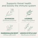 Medicinales Tradicionales Congelaciones, Garganta de Garganta Orgánica de limón Echinacea, Sore Throat Support, 16 Conde (Pack of 2)