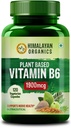 Vitamina B6 de base vegetal soporta inmunidad, salud cerebral (120 cápsulas)