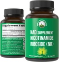 Nicotinamide Riboside NR Supplement. NMN Alternative NAD Supplement + Niacinamide For NAD+ Levels As We Age. Third Party Tested, Non-GMO, Gluten Free, Vegan NR Vitamin Supplements For Women And Men