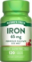 Nature's Truth Iron Supplement | 65mg | 120 Tablets | 325mg Ferrous Sulfate | Non-GMO & Gluten Free Pills
