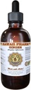 Hawaii Pharm Ginger Liquid Extract, Orgánica Ginger (Zingiber officinale) Tincture Suplemento 2 oz