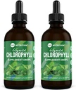 360 gotas líquidas Chlorophyll Nutrición con aceite de menta, suplemento desodorante interno del cuerpo GF & Vegan, apoya la salud de Gut, la digestión, energía, la piel radiante, absorción rápida (4 Fl Oz (2 Conde))