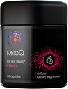 Antioxidante MitoQ +Heart Premium CoQ10 - Contiene Mitoquinol Mesylate, Magnesio, L-Carnitina & Vitamina D3 - Apoya la Salud Cardiovascular y Circulatoria, " Vitalidad Celular (60 cápsulas)