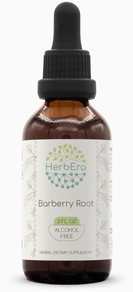 Barberry Root B60 Extracto herbal libre de alcohol Tintura, gotas líquidas concentradas Barberry natural (Berberis Vulgaris) (2 fl oz)