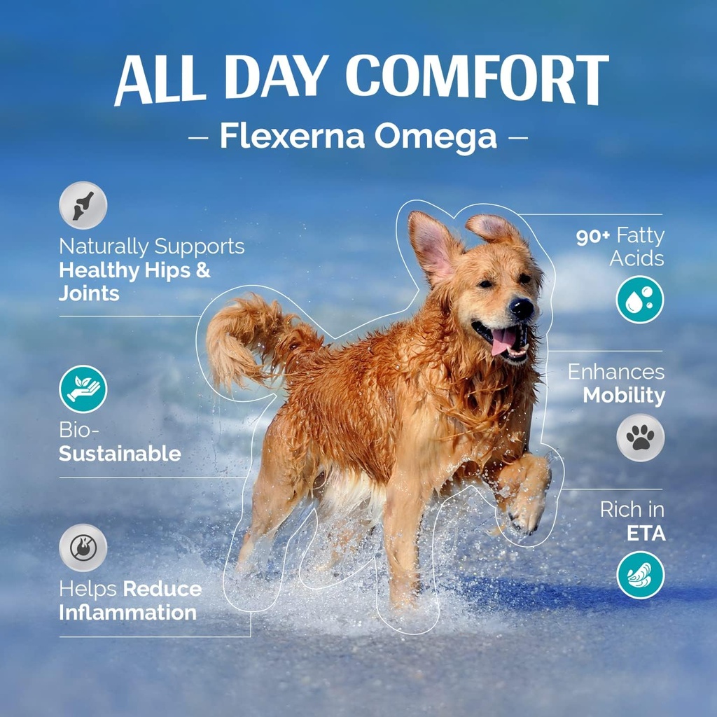 Suplemento Conjunto para Perros - Rico en el extracto de mejillón verde - Aceite de pescado - Omega-3 Soporte - Movilidad formada Vet & Comfort - 8 Bomba líquida Oz