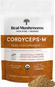 Mushrooms reales Cordyceps Mushroom Powder - Cordyceps orgánicos Powder Mushroom Energy and Wellness Support - Rich in Beta Glucans - Non-GMO, Vegan Supplement, 60 Servings