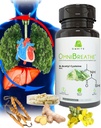 OMNIBREATHE - Mejora rápida de problemas respiratorios por NAC 600MG Formulado científicamente w. Quercetin/Mullein/Coq 10/Ginger/Stinging Nettle/Bromelain,3 Times w. Meal (10-Day Supply to Boost)