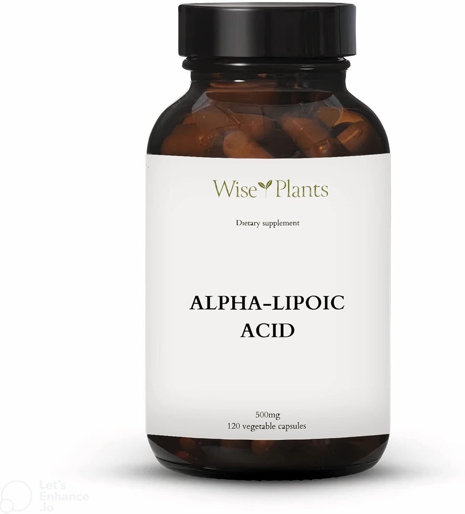 Ácido Alfa-Lipoico - No GMO - 500mg, 120 Serviciones (4 meses de suministro), Niveles de energía, Apoyo Mitocondria